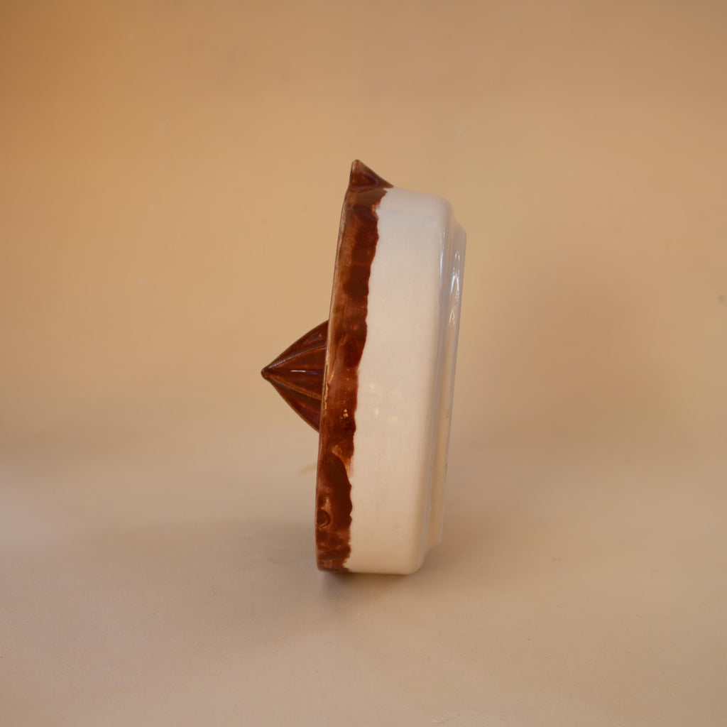 El yapımı kahverengi porselen limon sıkacağı