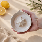 White citrus press for lemonade and dressings